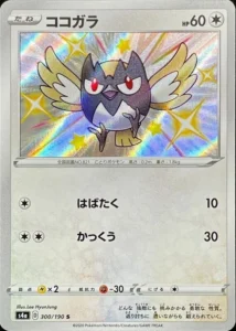 300/190 Rookidee