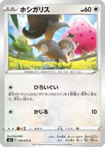 058/070 Skwovet