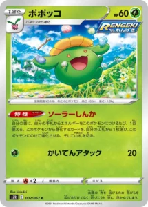 002/067 Skiploom
