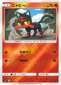 007/051 Litten