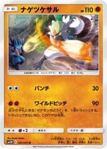 031/051 Passimian