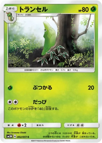 002/051 Metapod