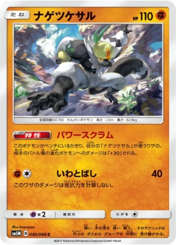 040/066 Passimian