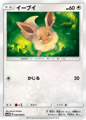 046/066 Eevee
