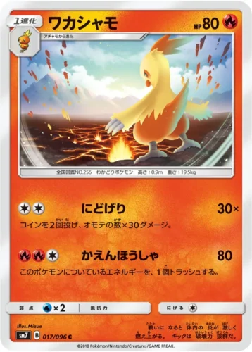 017/096 Combusken