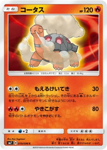 019/096 Torkoal