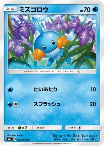 022/096 Mudkip