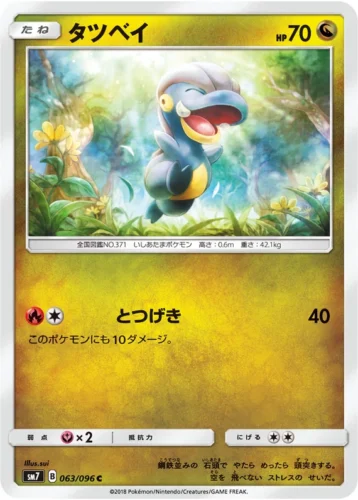 063/096 Bagon