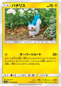 028/060 Pachirisu