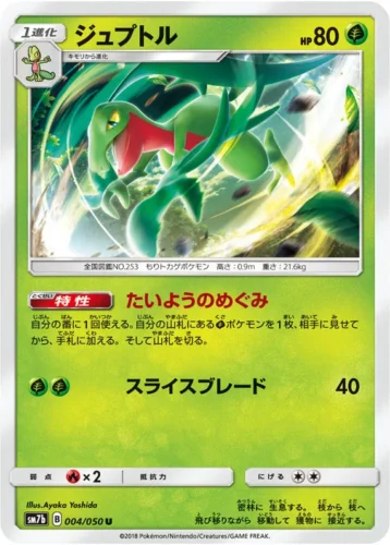 004/050 Grovyle