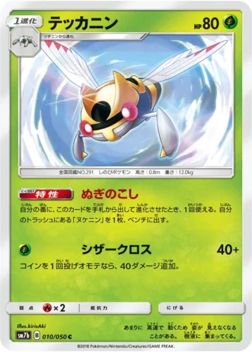 010/050 Ninjask