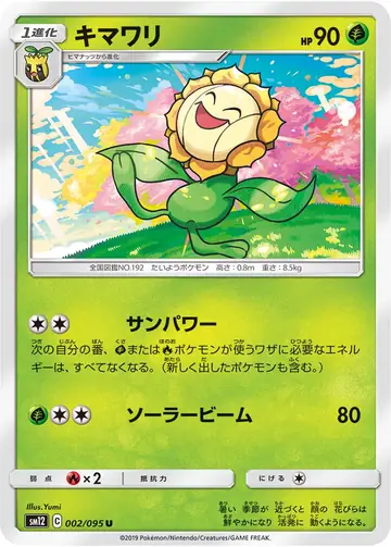 002/095 Sunflora