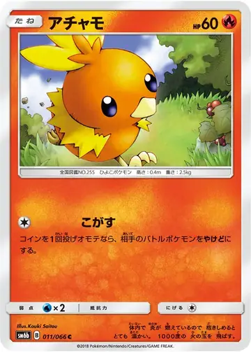 011/066 Torchic