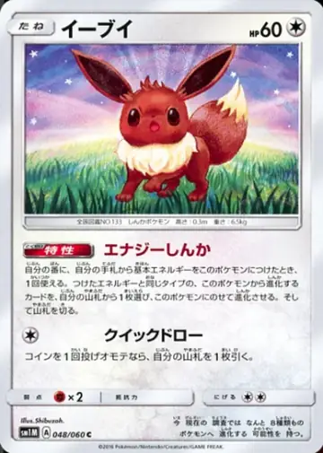 048/060 Eevee