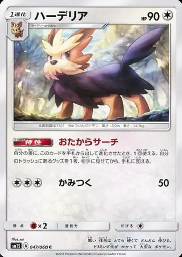 047/060 Herdier