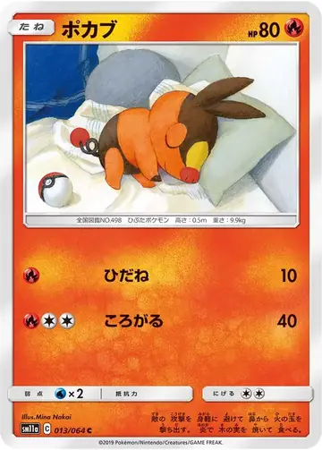 013/064 Tepig