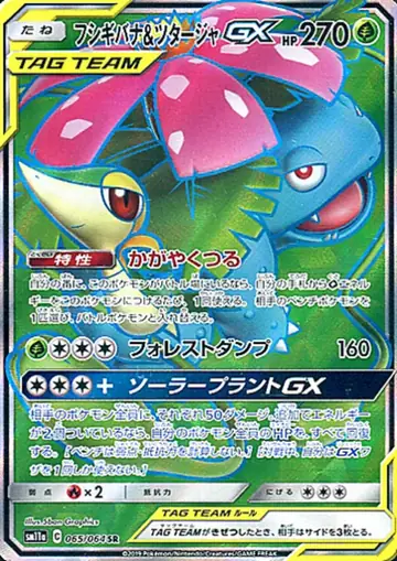 065/064 Venusaur & Snivy GX