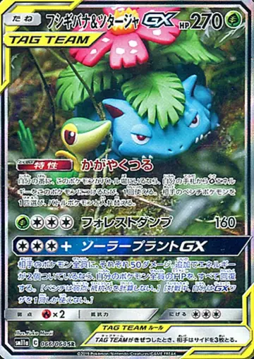 066/064 Venusaur & Snivy GX