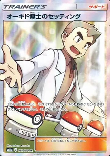 072/064 Professor Oak's Setting