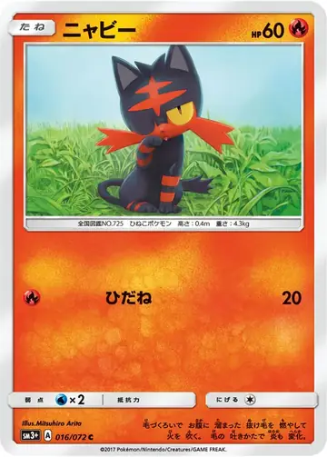 016/072 Litten