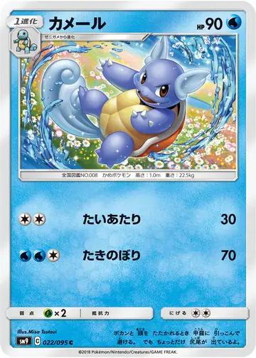 022/095 Wartortle