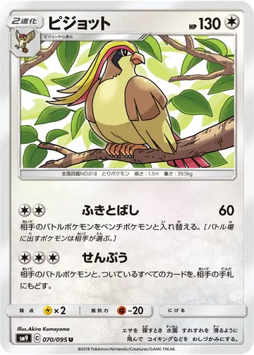 070/095 Pidgeot