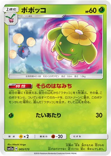 005/173 Skiploom