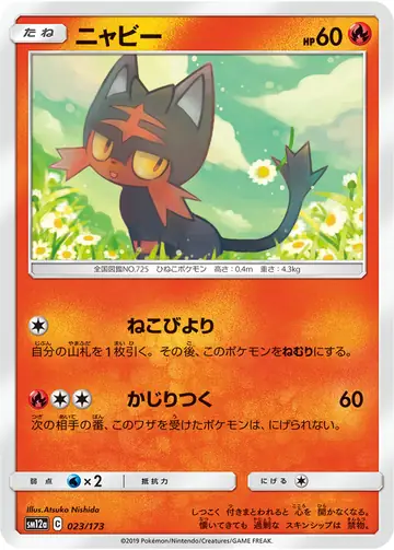 023/173 Litten