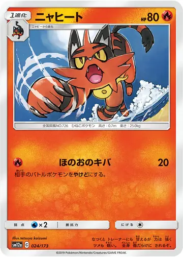 024/173 Torracat
