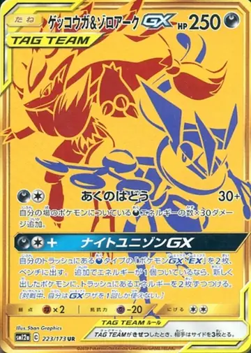 223/173 Greninja & Zoroark GX