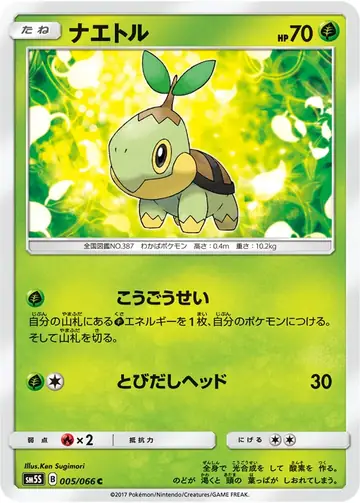 005/066 Turtwig