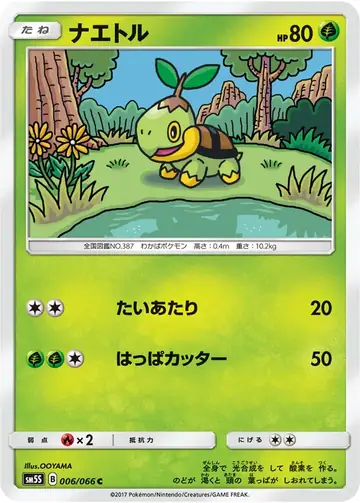 006/066 Turtwig