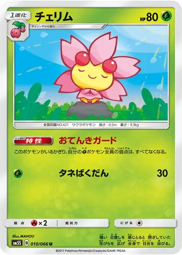 010/066 Cherrim